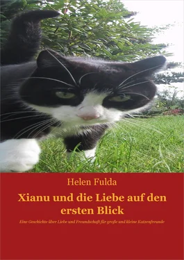 Helen Fulda Xianu und die Liebe обложка книги