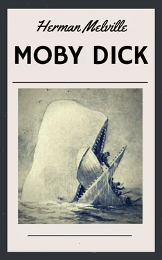 Herman Melville Moby Dick (English Edition) обложка книги