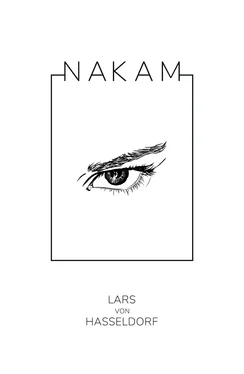 Lars von Hasseldorf Nakam обложка книги