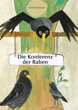 Heidi Hartmann Konferenz der Raben обложка книги