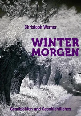 Christoph Werner Wintermorgen - Geschichten und Geschichtliches обложка книги