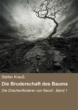 Stefan Kraus Die Bruderschaft des Baums обложка книги