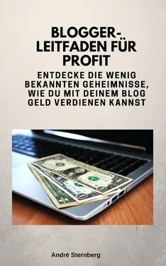 André Sternberg Blogger-Leitfaden für Profit обложка книги