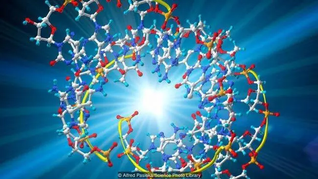 Молекула треозонуклеиновой кислоты Другие химики придумали собственные - фото 24