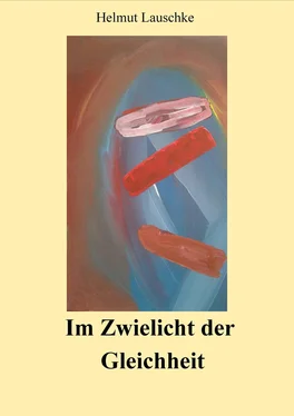 Helmut Lauschke Im Zwielicht der Gleichheit обложка книги