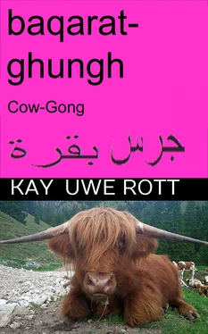 Kay Uwe Rott baqarat ghungh, (Cow-Gong) (Kuh-Gong) Arabian обложка книги