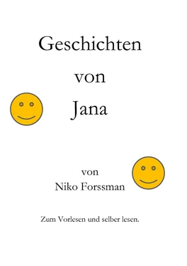 Niko Forssman Geschichten von Jana обложка книги