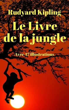 Rudyard Kipling Le Livre de la jungle (avec 47 illustrations colorées) обложка книги