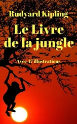 Rudyard Kipling - Le Livre de la jungle (avec 47 illustrations colorées)