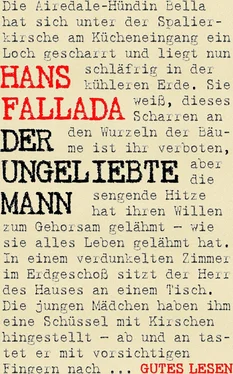 Hans Fallada Der ungeliebte Mann обложка книги
