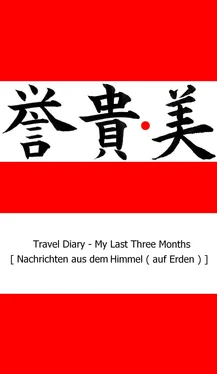 Micky Mi Travel Diary - My Last Three Months обложка книги