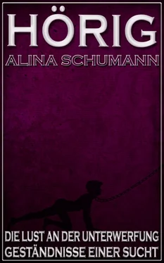 Alina Schumann Hörig обложка книги