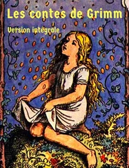 Jakob et wilhelm Grimm - LES CONTES DE GRIMM INTEGRALE (nouvelle édition)