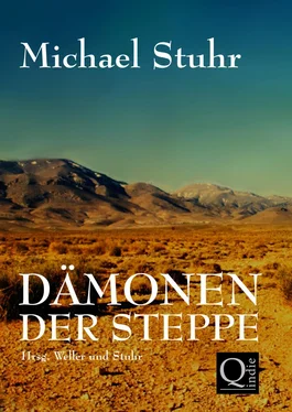 Michael Stuhr DÄMONEN DER STEPPE обложка книги