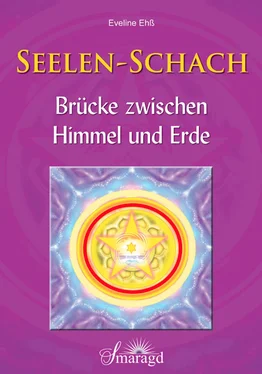 Eveline Ehß Seelen-Schach обложка книги
