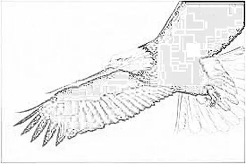 Der Adler wird assoziiert mit Weitsicht im Sinne von Überblickund auch mit - фото 1