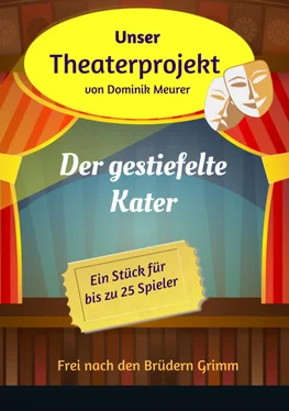 Dominik Meurer Unser Theaterprojekt, Band 11 - Der gestiefelte Kater обложка книги