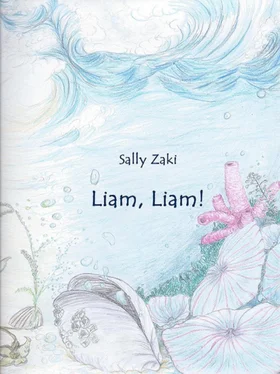 Sally Zaki Liam, Liam! обложка книги