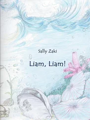 Sally Zaki - Liam, Liam!