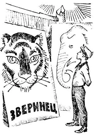 В одном месте до нас вдруг донеслась громкая музыка Завернув за угол большого - фото 1