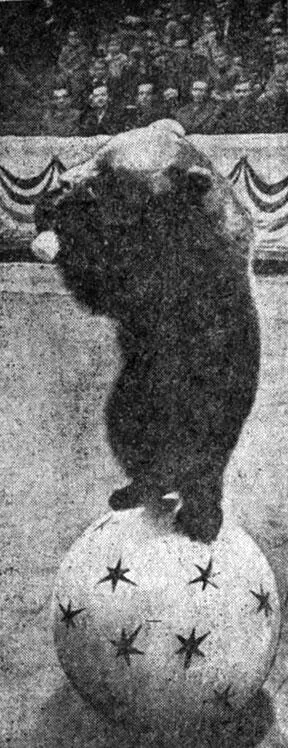 Пить молоко свой любимый напитокГоша мог даже балансировать на шаре Дело в - фото 5