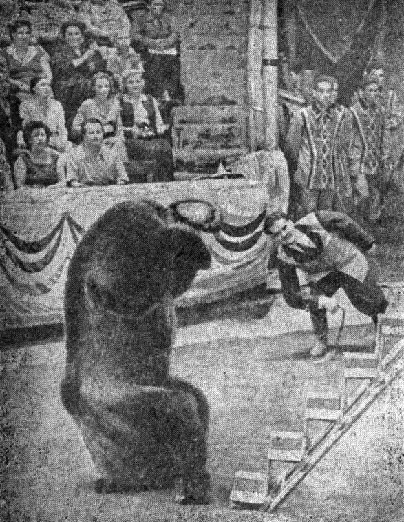 Сегодня Гоша старается особенно И вот однажды поздним вечером после - фото 7