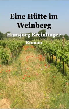 Hansjörg Breinlinger Eine Hütte im Weinberg обложка книги