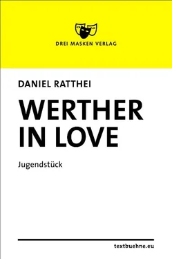 Daniel Ratthei Werther in love обложка книги