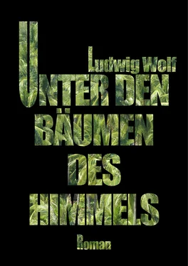 Ludwig Wolf Unter den Bäumen des Himmels обложка книги