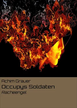 Achim Grauer Occupys Soldaten обложка книги