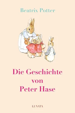 Beatrix Potter Die Geschichte von Peter Hase обложка книги