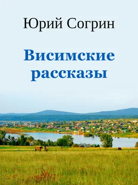 Юрий Согрин Висимские рассказы обложка книги