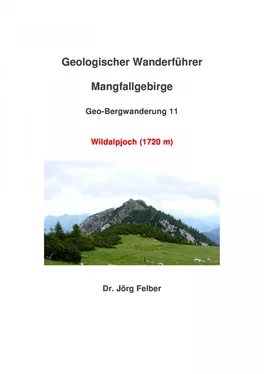 Jörg Felber Geo-Bergwanderung 11 Wildalpjoch (1720 m) обложка книги
