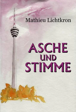 Mathieu Lichtkron Asche und Stimme обложка книги