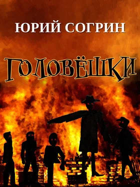 Юрий Согрин Головёшки обложка книги