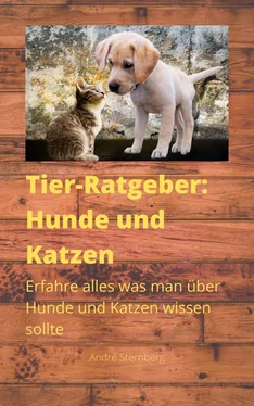 André Sternberg Tier-Ratgeber: Hunde und Katzen обложка книги