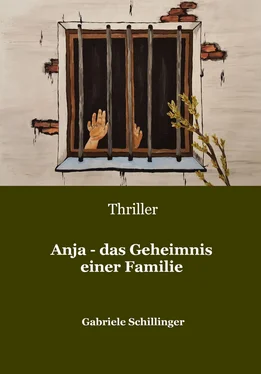 Gabriele Schillinger Anja - das Geheimnis einer Familie обложка книги