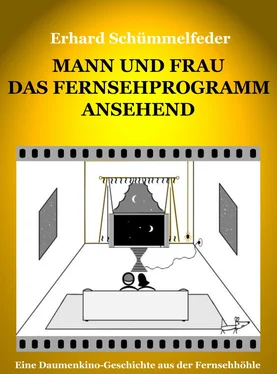 Erhard Schümmelfeder Mann und Frau das Fernsehprogramm ansehend обложка книги