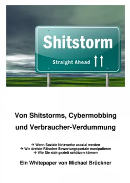 Michael Brueckner Von Shitstorms, Cybermobbing und Verbraucher-Verdummung обложка книги