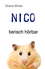 Dhana Winter - NICO