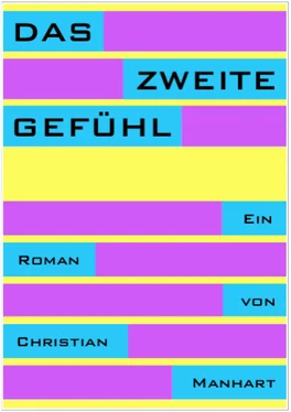 Christian Manhart Das zweite Gefühl обложка книги