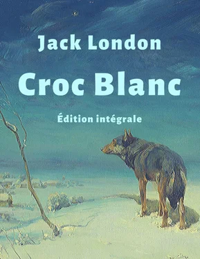 Jack London Croc-Blanc (Édition intégrale) обложка книги