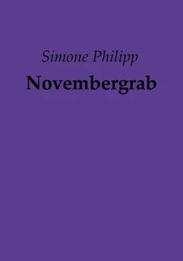 Simone Philipp Novembergrab обложка книги