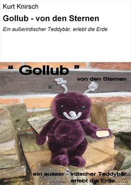 Kurt Knirsch Gollub - von den Sternen обложка книги