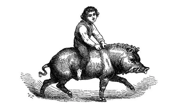 Es war Mitternacht das Metallschwein regte sich er hörte es deutlich sagen - фото 31