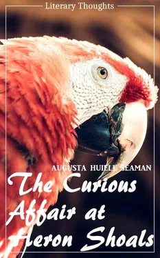 Augusta Huiell Seaman The Curious Affair at Heron Shoals (Augusta Huiell Seaman) (Literary Thoughts Edition) обложка книги