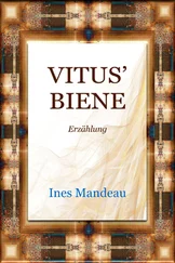 Ines Mandeau - Vitus' Biene