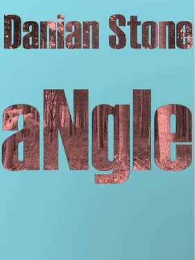 Danian Stone Angie обложка книги
