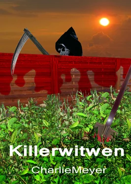 Charlie Meyer Killerwitwen обложка книги