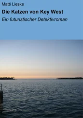 Matti Lieske - Die Katzen von Key West